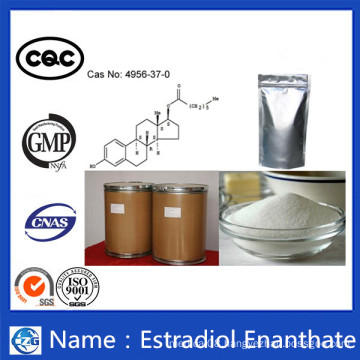 High Purity and Good Effect Powder Estradiol Enanthate